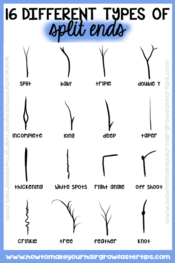 Did You Know There are 16 Different Types of Split Ends? | How to Make Your  Hair Grow Faster - Tips to Grow Long Hair Faster
